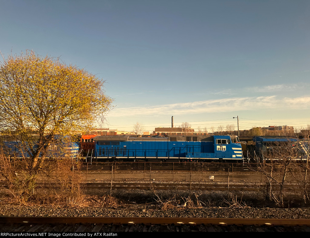 NS 3989